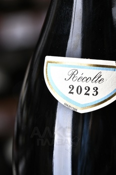 Chartron et Trebuchet Bourgogne Pinot Noir - вино Шартрон э Требюше Бургонь Пино Нуар 0.75 л красное сухое