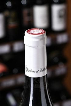 Chartron et Trebuchet Bourgogne Pinot Noir - вино Шартрон э Требюше Бургонь Пино Нуар 0.75 л красное сухое