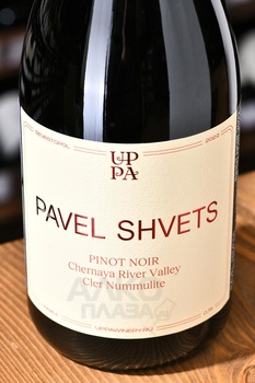 Pinot Noir Pavel Shvets Cler Nummulite - вино Пино Нуар Павел Швец Клер Нумииулит 0.75 л красное сухое