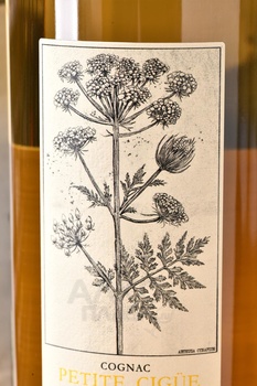 Fanny Fougerat Petite Cigu e VSOP Fins Bois - коньяк Фанни Фужера Птит Сигю ВСОП Фин Буа 0.7 л в п/у