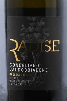 Radise Conegliano Valdobbiadene Prosecco Superiore - вино игристое Радизе Конельяно Вальдоббьядене Просекко Супериоре 0.75 л белое экстра драй