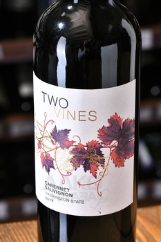 Two Vines Cabernet Sauvignon - вино Ту Вайнс Каберне Совиньон 0.75 л красное полусухое
