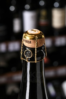 Вино игристое Арпачино Иноходец Пухляковский 0.75 л белое экстра брют