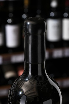 Вино Каберне Фран Собер Баш 0.75 л красное сухое