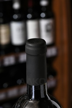 Koncho&Co Saperavi Qvevri - вино Кончо и Ко Саперави Квеври 0.75 л красное сухое