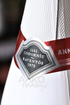 Codorniu Blanc De Blancs Brut Reserva Anna - вино игристое Кодорнью Анна Блан Де Блан Резерва Кава 0.75 л