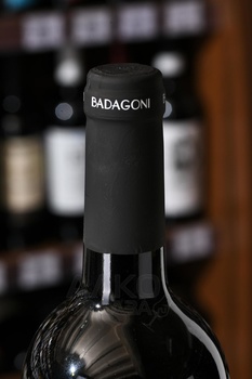 Badagoni Pirosmani - вино Бадагони Пиросмани 0.75 л красное полусухое