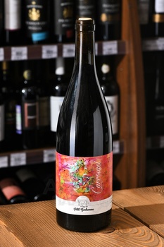 Domaine du Petit Bonhomme Carrousel - вино Домен дю Пти Боном Карусель 0.75 л красное сухое