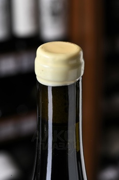 Matias Riccitelli The Party Malbec Uco Valley - вино Матиас Ричителли Зе Пати Мальбек Уко Вэлли 0.75 л красное сухое