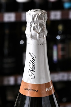 Nadal Plot Twist Corpinnat - вино игристое Корпиннат Надаль Плот Твист 0.75 л белое брют