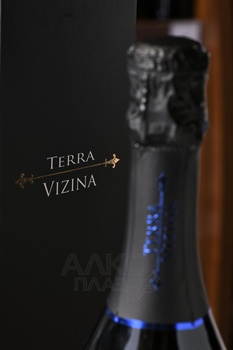 Terra Vizina Prosecco Millesimato - вино игристое Терра Вицина Просекко Миллезимато 0.75 л белое брют в п/у
