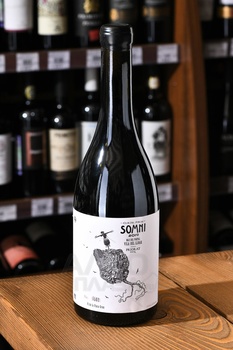 Portal del Priorat Somni Priorat - вино Портал дел Приорат Сомни Приорат 0.75 л красное сухое