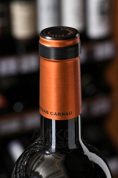 Bodegas Carrau Arinarnoa - вино Бодегас Каррау Аринарноа 0.75 л красное сухое