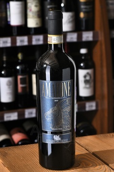 Domini del Leone Amarone della Valpolicella DOCG - вино Домини дель Леоне Амароне делла Вальполичелла ДОКГ 0.75 л красное сухое
