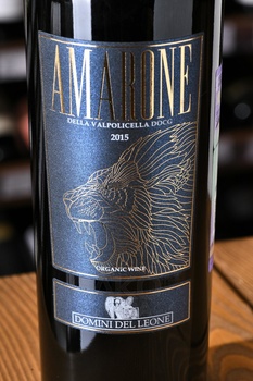 Domini del Leone Amarone della Valpolicella DOCG - вино Домини дель Леоне Амароне делла Вальполичелла ДОКГ 0.75 л красное сухое
