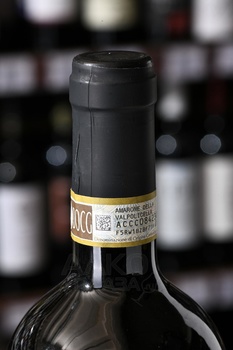 Domini del Leone Amarone della Valpolicella DOCG - вино Домини дель Леоне Амароне делла Вальполичелла ДОКГ 0.75 л красное сухое