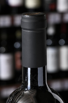 Stefano Accordini Acinatico Amarone della Valpolicella Classico - вино Стефано Аккордини Ачинатико Амароне делла Вальполичелла Классико 0.75 л красное сухое