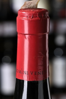 Domini Veneti Amarone della Valpolicella Classico - вино Домини Венети Амароне делла Вальполичелла Классико 0.75 л красное сухое
