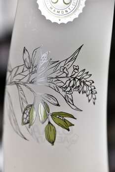 Mamont Botanical - водка Мамонт Ботаникал 0.5 л