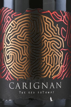 Ayama Carignan - вино Аяма Кариньян 0.75 л красное сухое