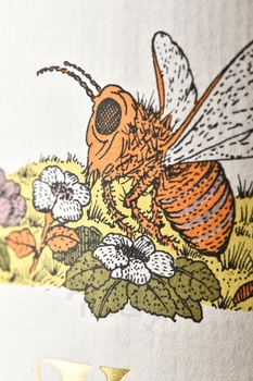 Barolo Cerequio Vietti - вино Бароло Черекуйо Вьетти 0,75 л красное сухое