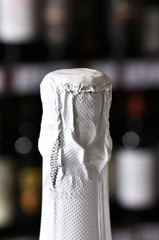 Domaine Alain Gras Saint-Romain - вино Сен-Ромен Ален Гра 2021 год 0.75 л красное сухое