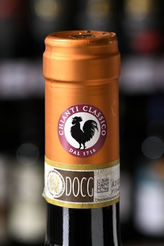 Bottega Chianti Classico Riserva Acino D’Oro - вино Боттега Кьянти Классико Ризерва Ачино Д’Оро 2020 год 0.75 л красное сухое