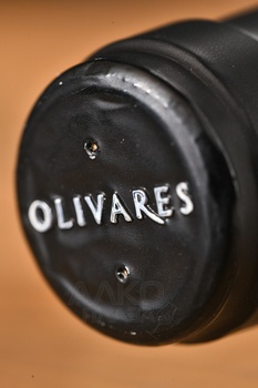 Olivares Altos de la Hoya - вино Оливарес Альтос де ла Ойя 0.75 л красное сухое