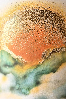 Michele Chiarlo Nivole Moscato d’Asti - вино Микеле Кьярло Ниволе Москато Д’Асти 0.375 л белое сладкое