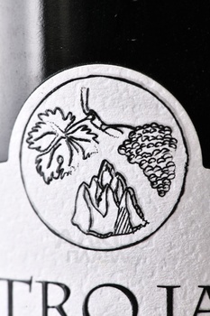 Mastrojanni San Pio Toscana IGT - вино Мастроянни Сан Пио Тоскана 0.75 л красное сухое