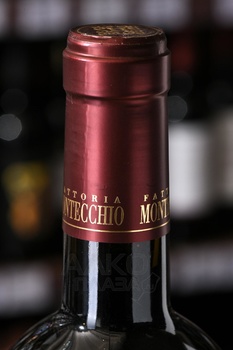 La Papessa. Montecchio - вино Ля Папесса Монтеккьо 2021 год 0.75 л сухое красное