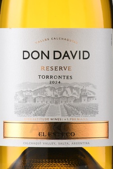 Michel Torino Don David Torrontes Reserve - вино Мишель Торино Дон Давид Торронтес Резерв 0.75 л