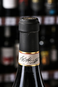 Casa E. di Mirafiore Lange Nebbilio DOC - вино Каса Е. ди Мирафьоре Ланге Неббиоло ДОК 2020 год 0.75 л красное сухое