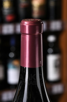 Ratti Ochetti Langhe Nebbiolo - вино Ратти Очетти Ланге Неббиоло 0.75 л красное сухое