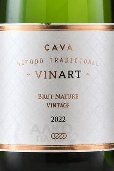 Vinart Vintage Cava - вино игристое Винарт Винтаж Кава 0.75 л белое брют натюр