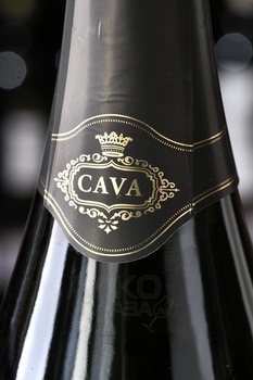 Vinart Vintage Cava - вино игристое Винарт Винтаж Кава 0.75 л белое брют натюр