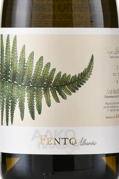 Fento Albarino - вино Фенто Альбариньо 0.75 л белое сухое