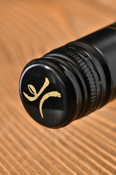 Diemersfontein The Prodigy Pinotage - вино Димерсфонтейн Продиджи Пинотаж 0.75 л красное сухое