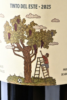 Matias Morcos Tinto del Este - вино Матиас Моркос Тинто дель Эсте 0.75 л красное сухое