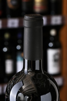 Los Helechos Designado Cabernet Franc - вино Лос Элечос Дэсигнадо Каберне Фран 0.75 л красное сухое