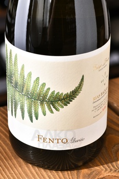Fento Albarino - вино Фенто Альбариньо 0.75 л белое сухое