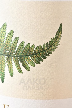 Fento Albarino - вино Фенто Альбариньо 0.75 л белое сухое