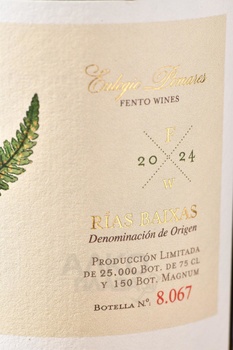 Fento Albarino - вино Фенто Альбариньо 0.75 л белое сухое