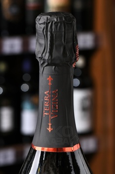 Prosecco Superiore Conegliano Valdobbiadene Terra Vizina - вино игристое Просекко Супериоре Конельяно Вальдоббьядене Терра Вицина 0.75 л белое экстра драй