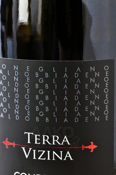 Prosecco Superiore Conegliano Valdobbiadene Terra Vizina - вино игристое Просекко Супериоре Конельяно Вальдоббьядене Терра Вицина 0.75 л белое экстра драй