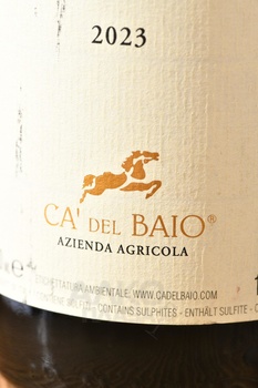 Barbera d’Alba Paolina DOC - вино Барбера д’Альба ДОК Паолина 0.75 л красное сухое