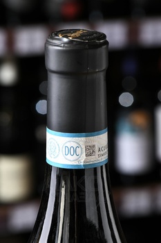Barbera d’Alba Paolina DOC - вино Барбера д’Альба ДОК Паолина 0.75 л красное сухое