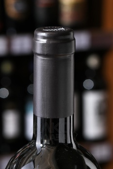 Azelia Punta Barbera d’Alba - вино Адзелия Пунта Барбера д’Альба 2019 год 0.75 л красное сухое