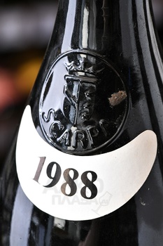 Scarpa Tettineive Barbaresco - вино Скарпа Барбареско Теттиневе 0.75 л красное сухое