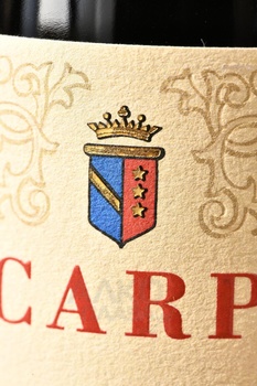 Scarpa Barbaresco Tettineive - вино Барбареско Теттиневе 2019 год 0.75 л красное сухое